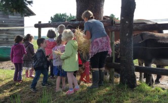 stage anier ferme pedagogique en bretagne