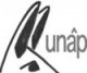 Logo Unap